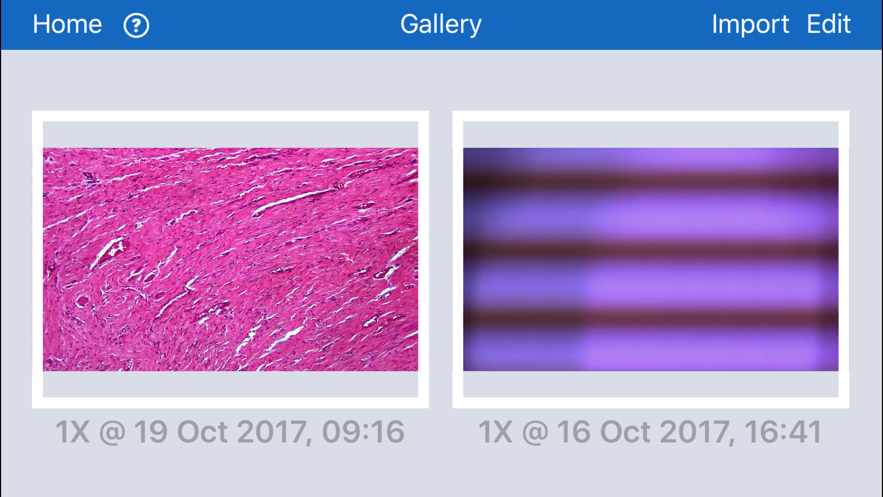 MoticNet安卓手机下载 v3.3.0