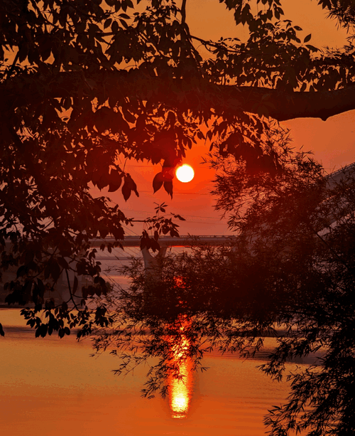 谷歌相机8.8agc在线配置版