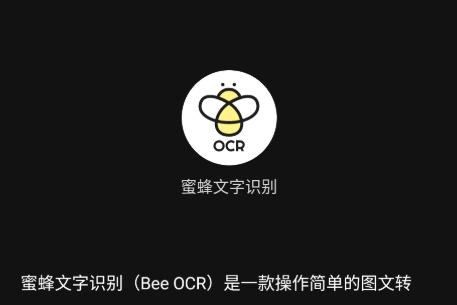 蜜蜂取字Bee OCR免费版