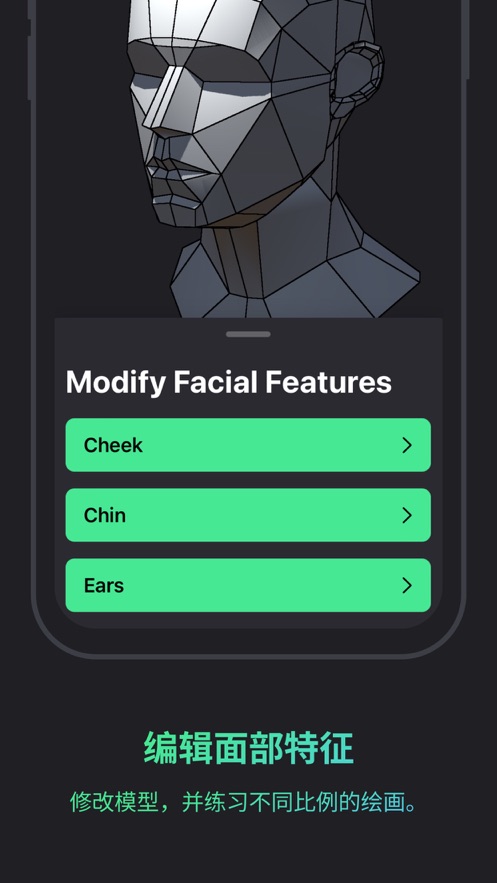 Head Model Studo安卓中文 v1.8.0
