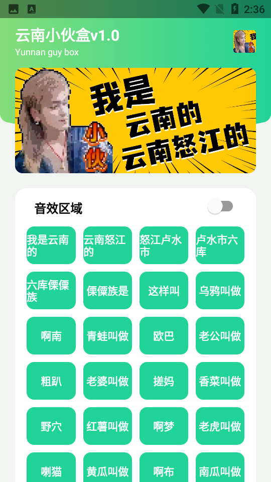 云南小伙盒自制版 v1.0