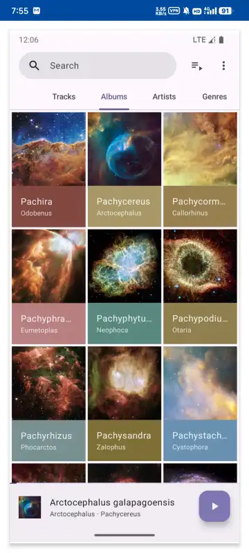 Phocid音乐播放器 v20250919