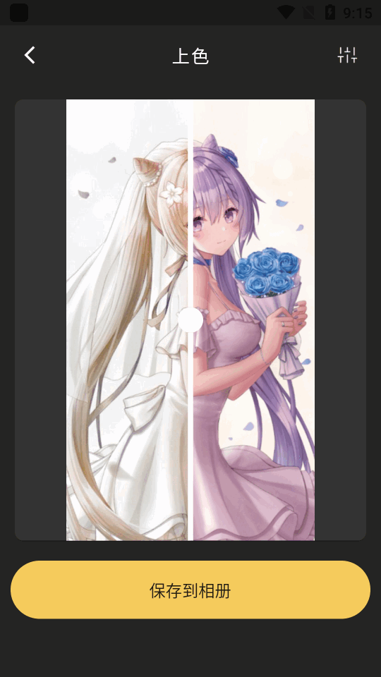 Colorizer老照片修复app专业版 Colorizer老照片修复app专业版