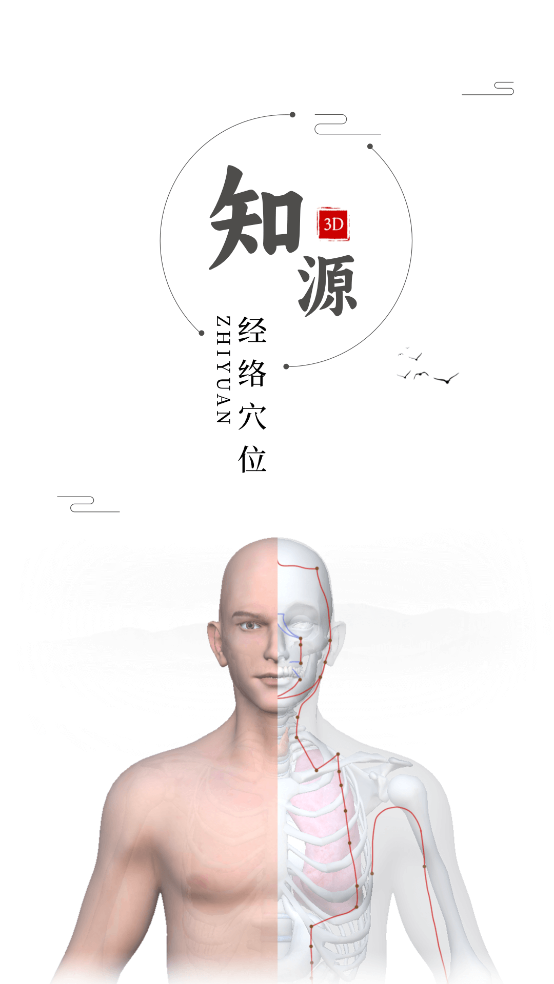 知源经络穴位app v3.11.0