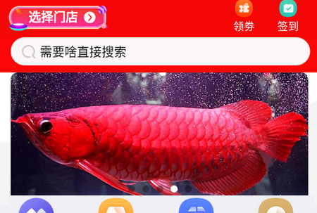 同城宠物APP 同城宠物APP