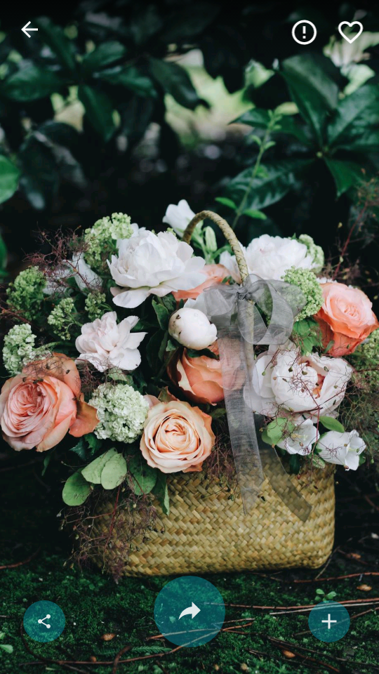 Parallax3d动态壁纸 v1.5.2.2