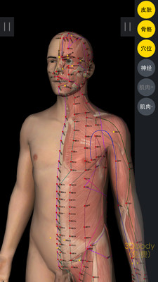 3DBody解剖 v8.8.41