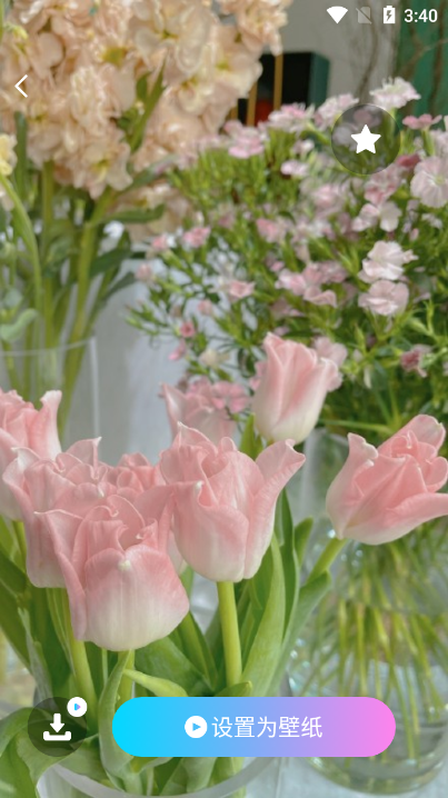 免费桌面壁纸软件手机版 免费桌面壁纸软件手机版