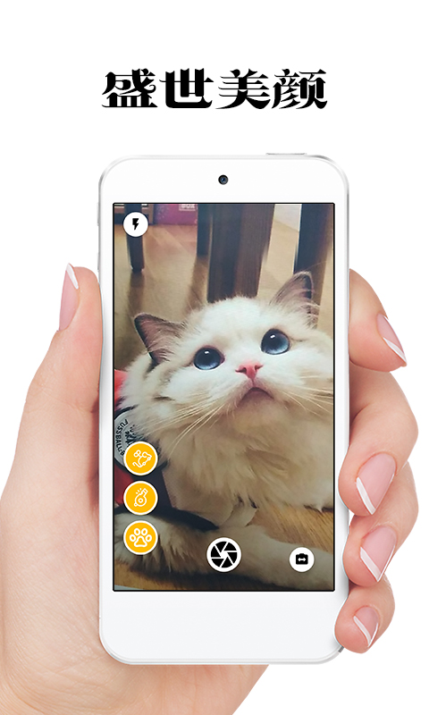 抖音极简猫咪相机 v1.0.5