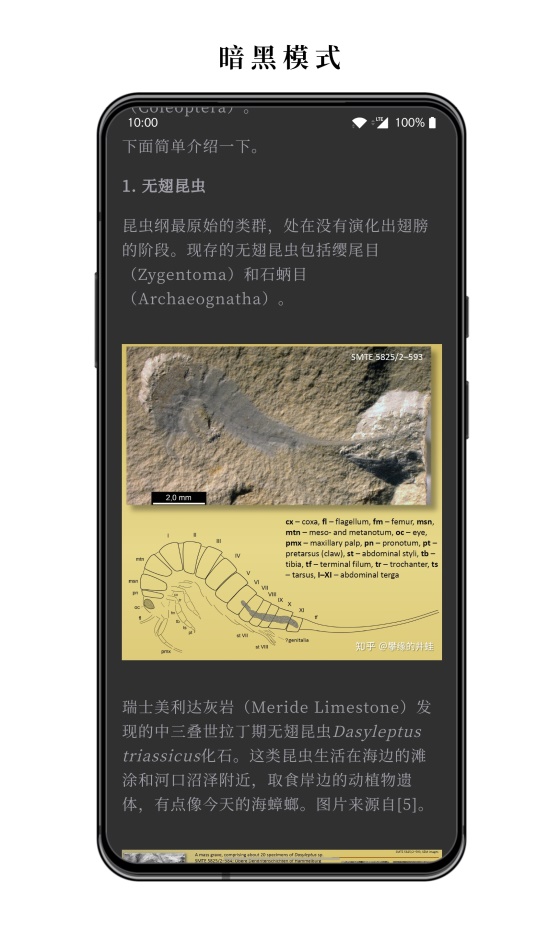 慢读app 3.22.9安卓版 v3.22.9