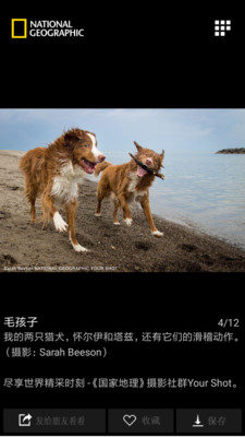 国家地理app免费版 v2.6.1