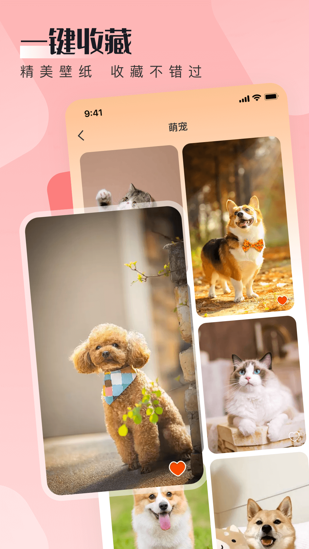 WalP壁纸正版 v1.1