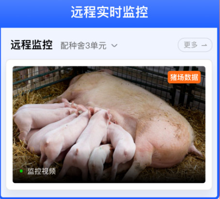 正大猪博士官方版