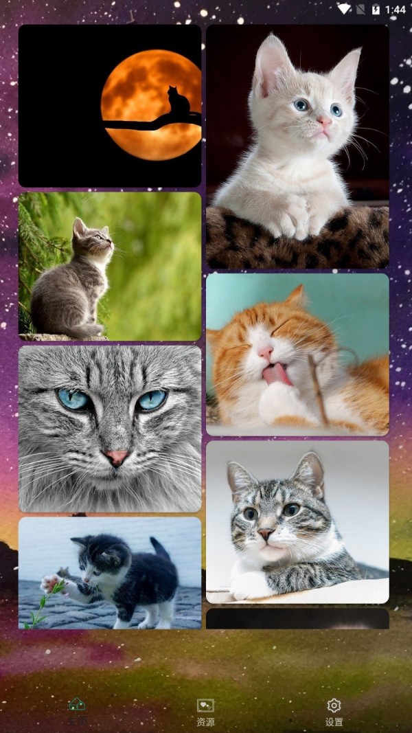 lMken助手app手机版 v1.0.0