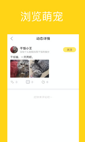 宠萌小窝app v1.0.0