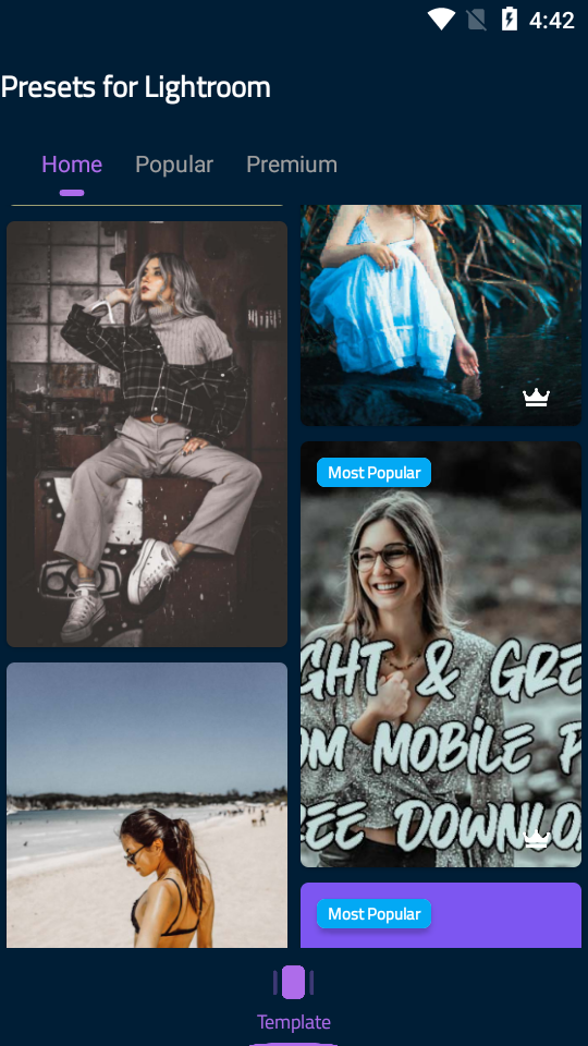 Lightroom Presets安卓版 v1.1