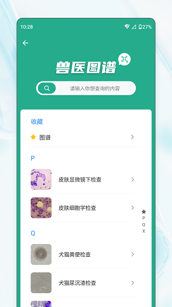 宠壹堂 v1.0.5.0