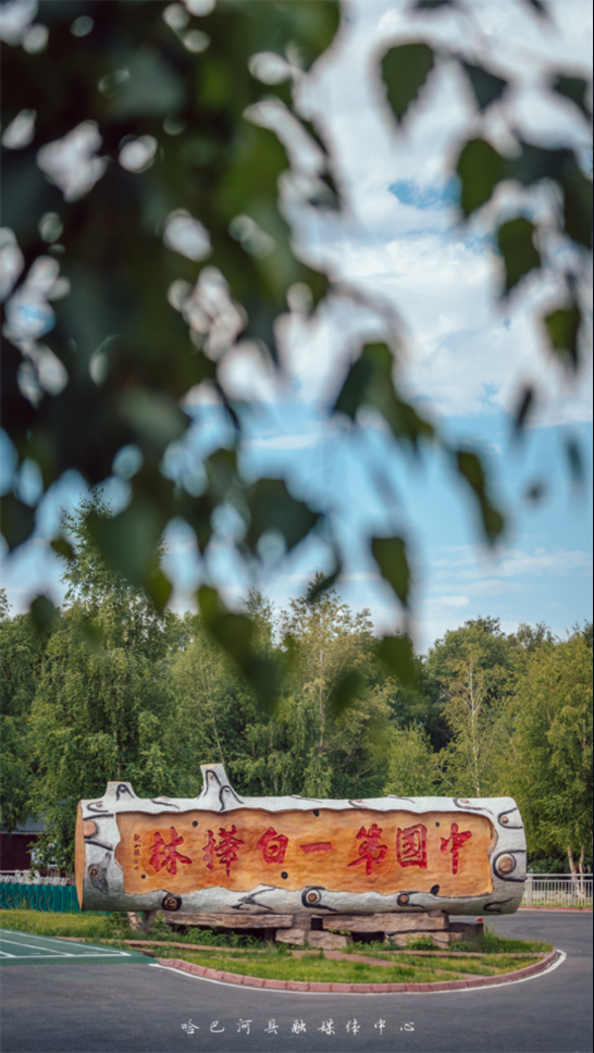 哈巴河好地方APP v2.2.0.4