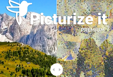 Picturize it 艺术照片破解版