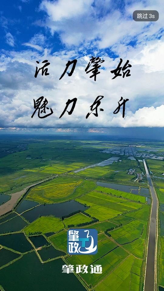 肇政通app v3.6.6
