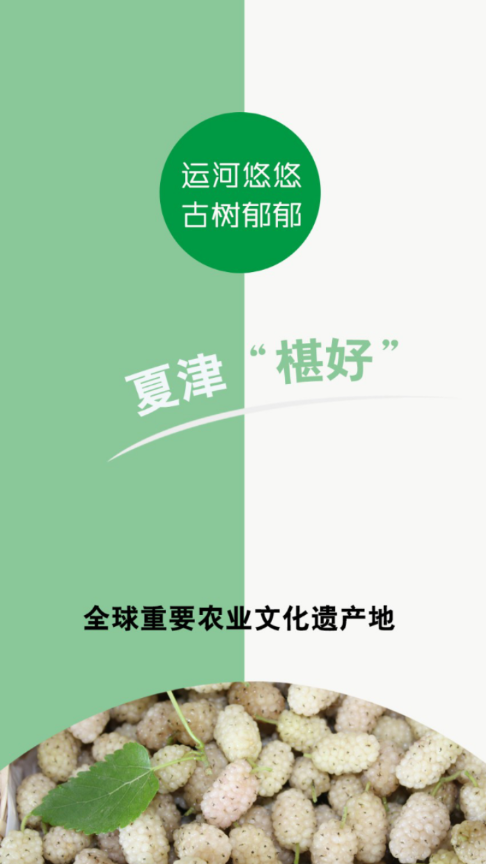 爱夏津app v0.0.43