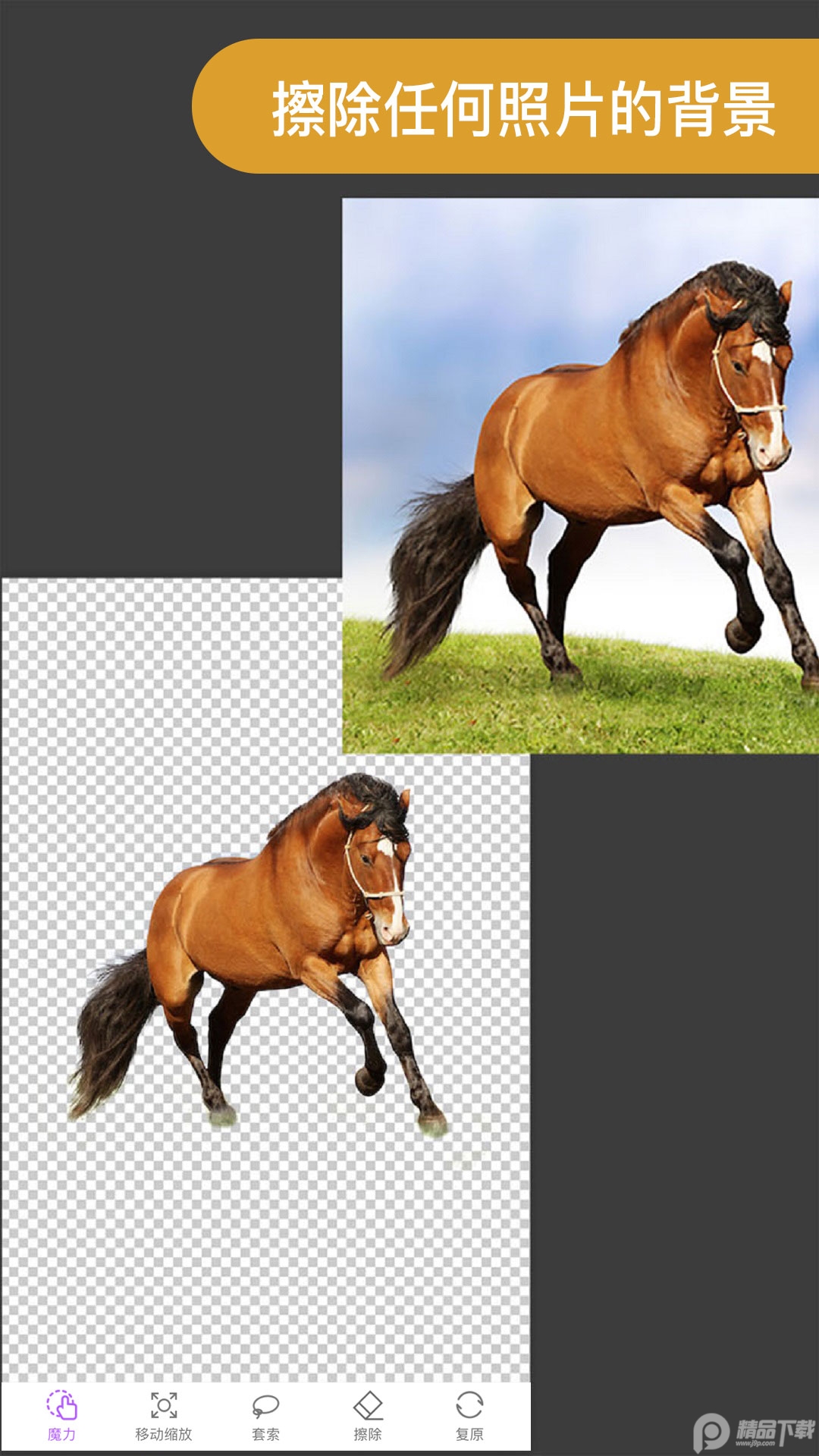 Proknockout智能抠图app v6.4.1