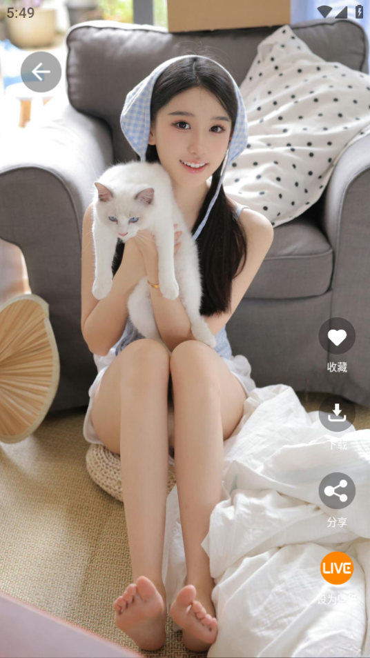 好看手机壁纸软件 v1.0.0