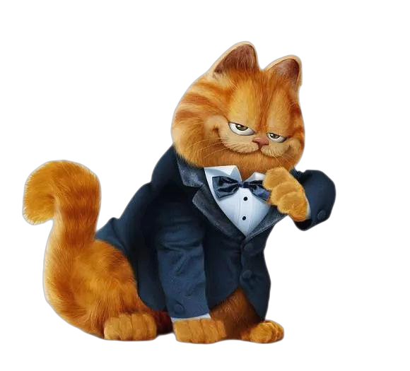 电视猫app v2.5