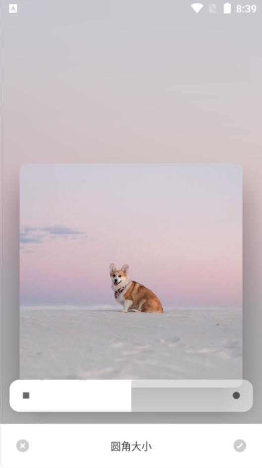 cutisan壁纸制作器 v4.0.5