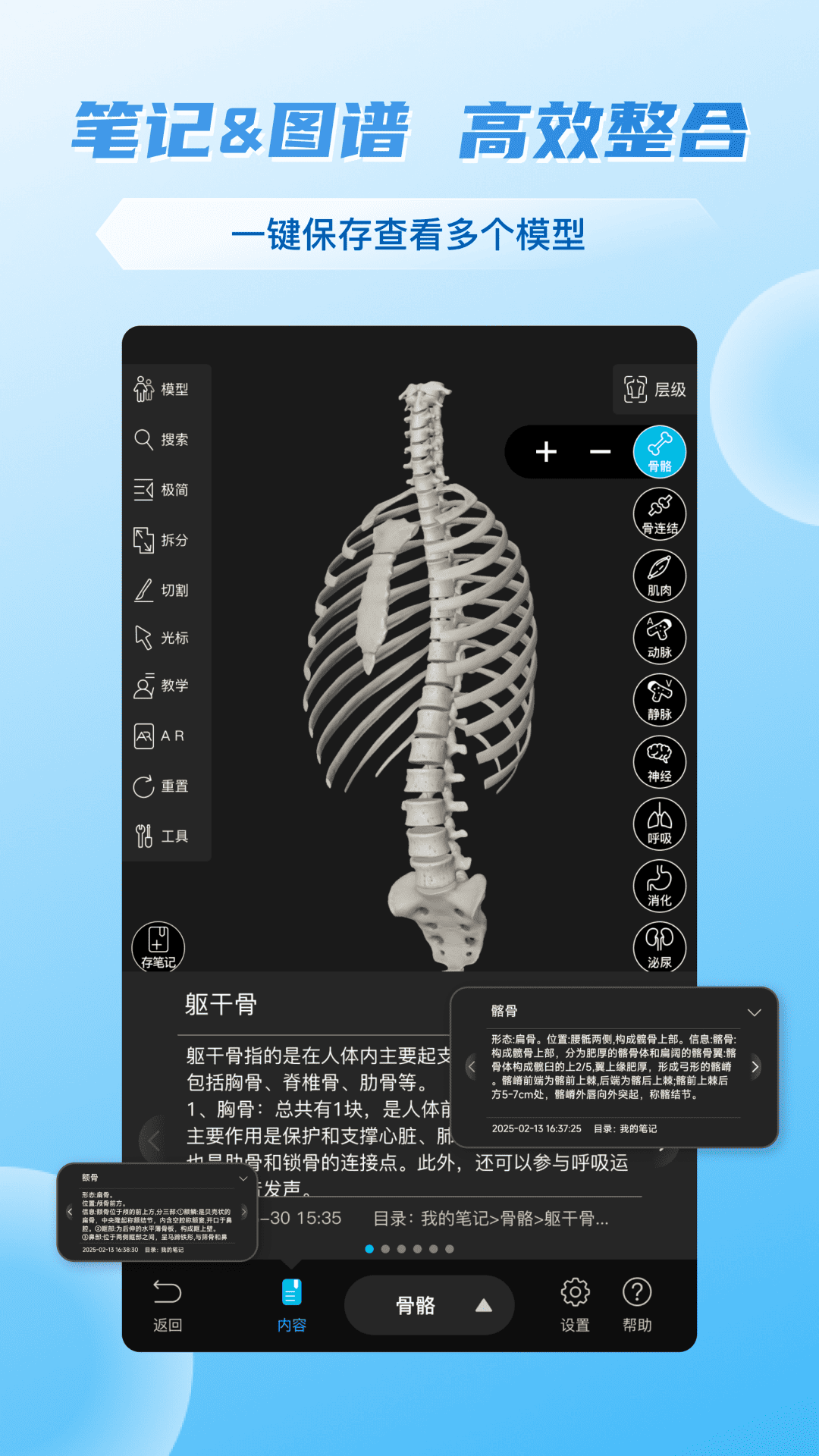 维萨里3d解剖app v6.8.2