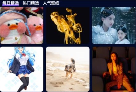 番茄动态壁纸app安卓版 番茄动态壁纸app安卓版