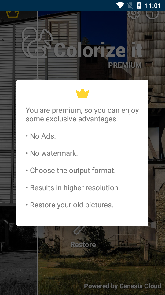 colorize it免费版 v2.1.8