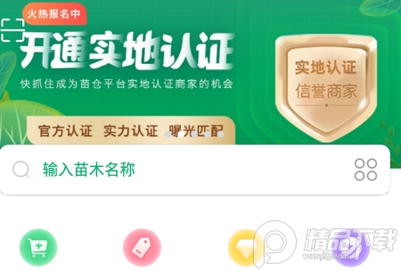 苗仓平台, 苗仓平台