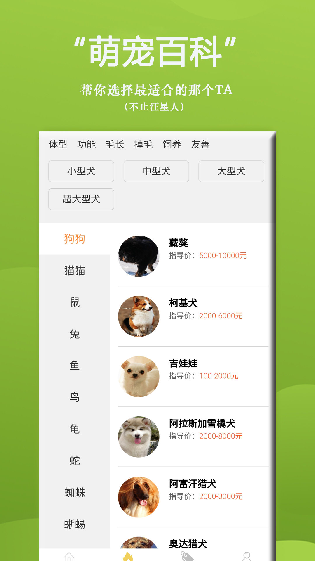 狗狗Bi商城app v1.0.1