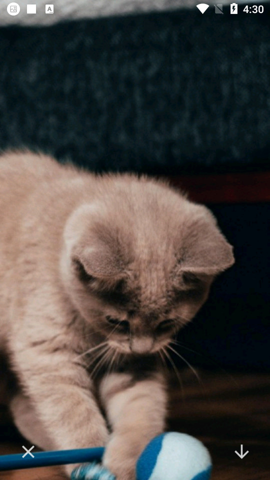 全自动壁纸app v1.0.1