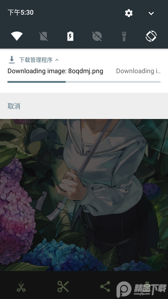 WallHaven手机中文版 v6.6.6