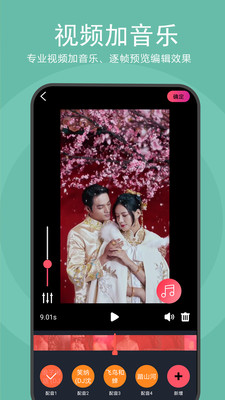一键解析抖音无水印视频 v2.0