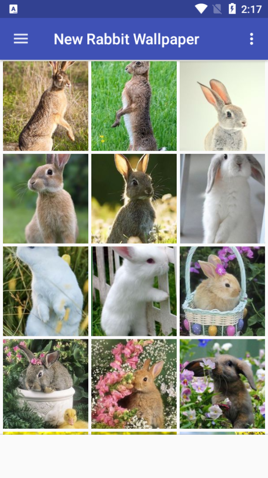 新兔子壁纸app安卓版 v1.0