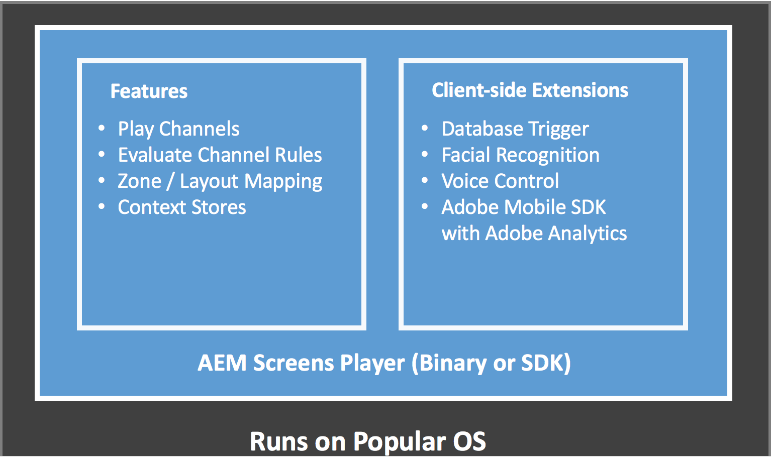 AEM Screens软件 v42.0.532