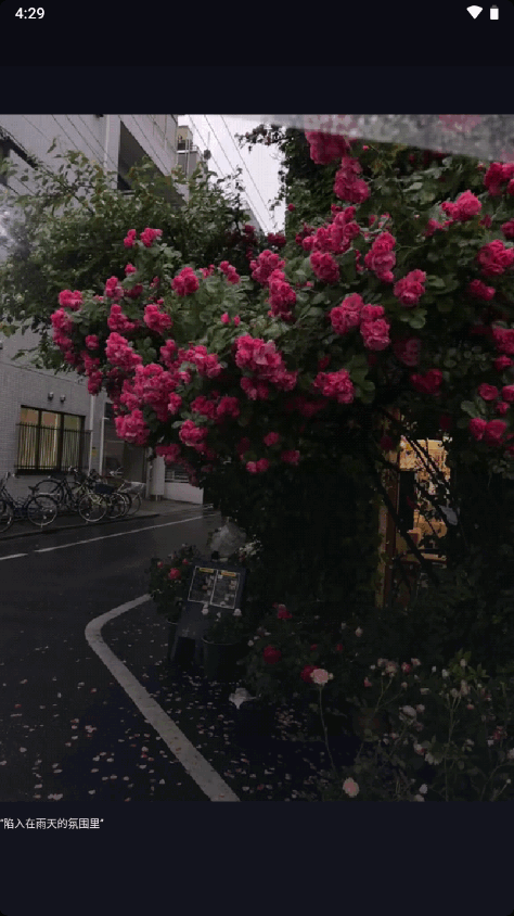 抖音共存版去水印 v88.8.8