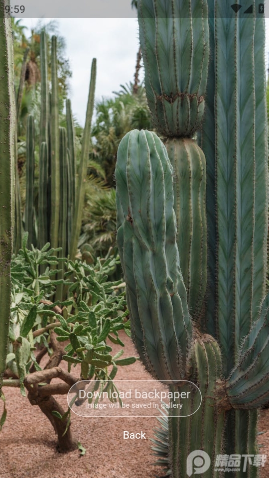 Backpaper软件 v2.0.0