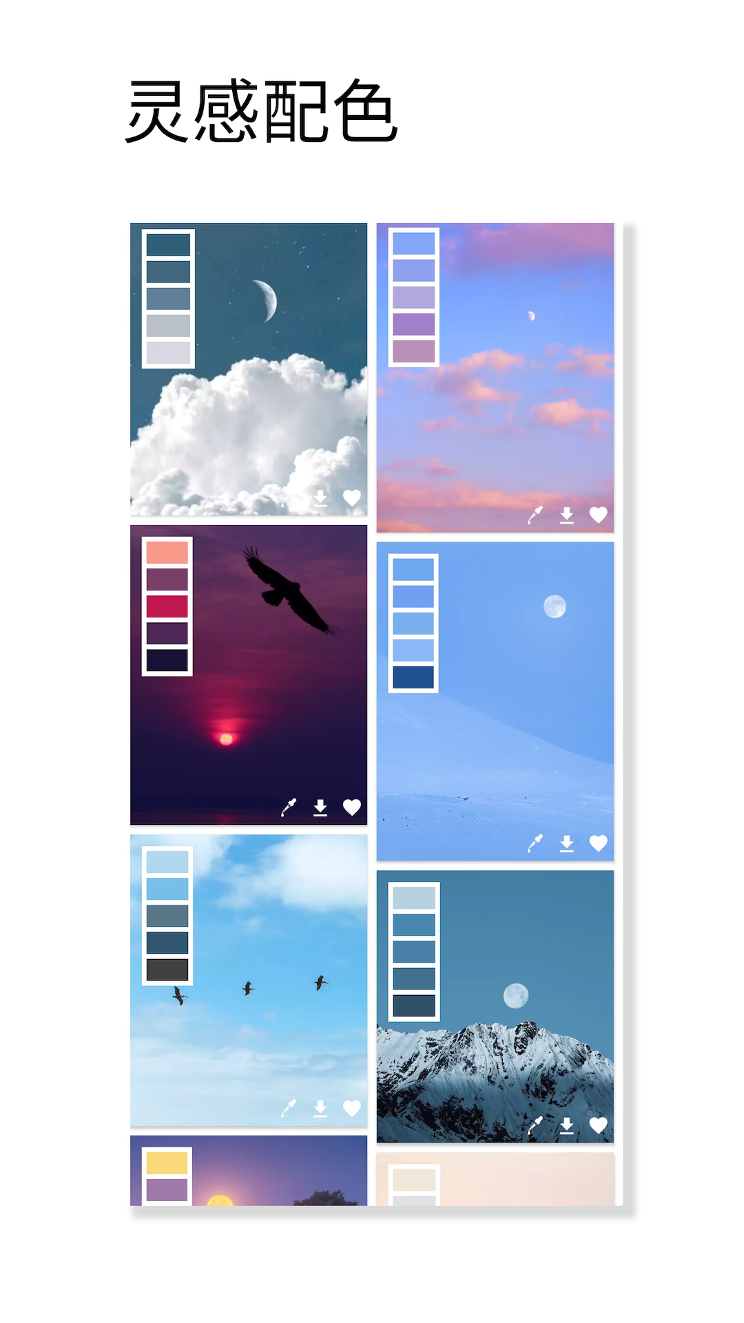 观色配色app v1.058