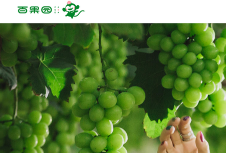 百果园超市平台 百果园超市平台