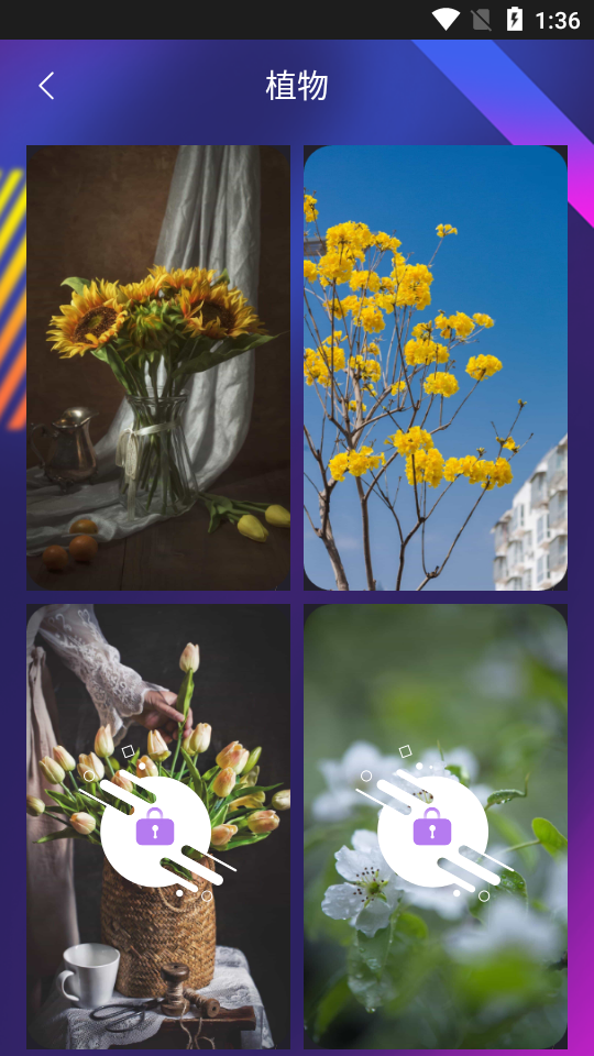 超高清主题壁纸app 超高清主题壁纸app