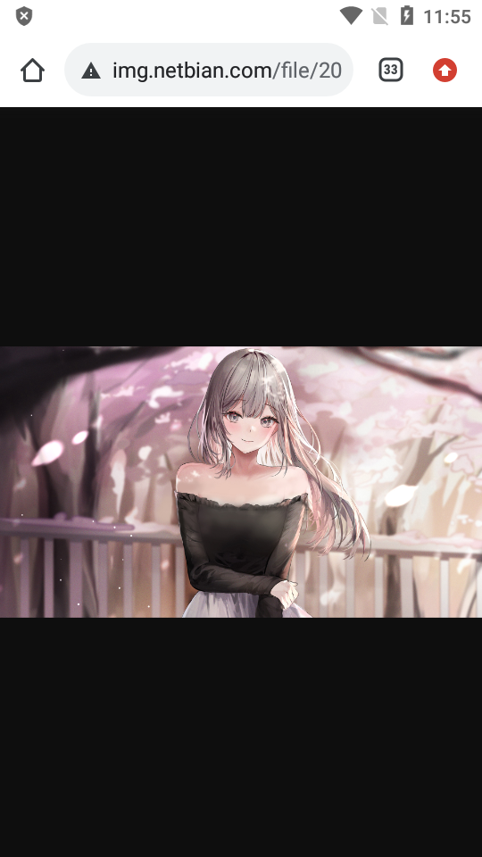 横屏壁纸手机壁纸 v1.0