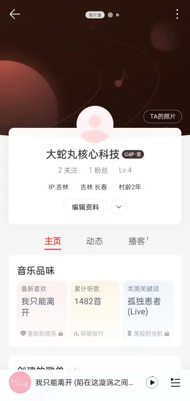 大蛇丸音乐app