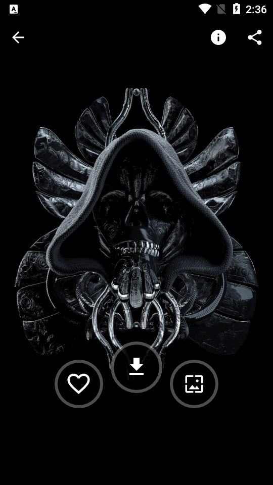 黑色壁纸app v6.0.46