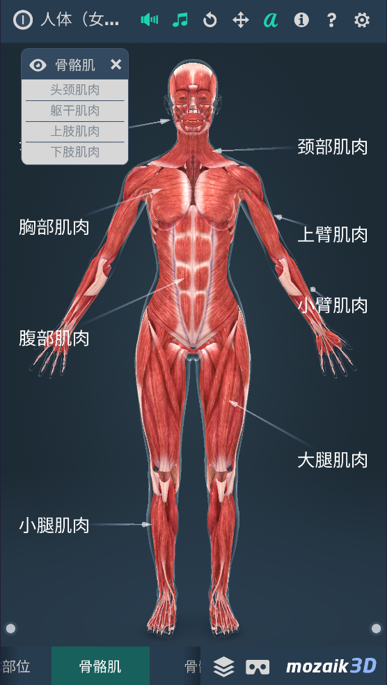 humanbody官方下载2025(Human body (female)) v1.0