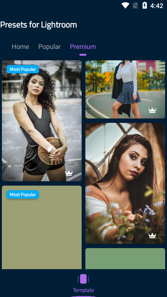 Lightroom Presets安卓版 v1.1