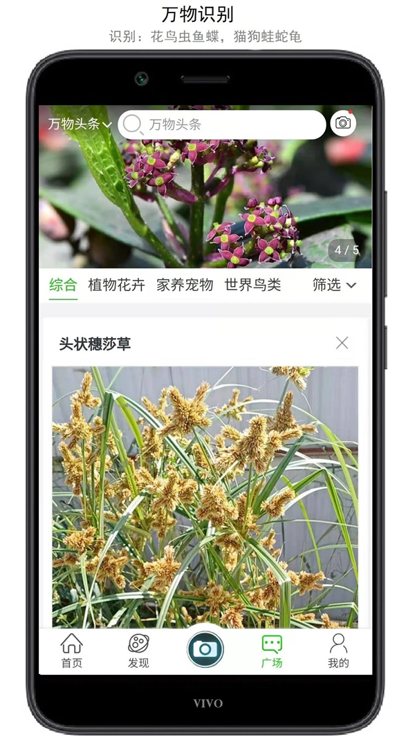 万物志软件 v2.1.74.2501120